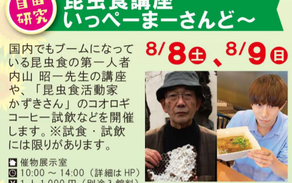 イベント中止のお知らせ ８月８日 ８日沖縄海洋博公園 昆虫食講座 昆tubeちゃんねる