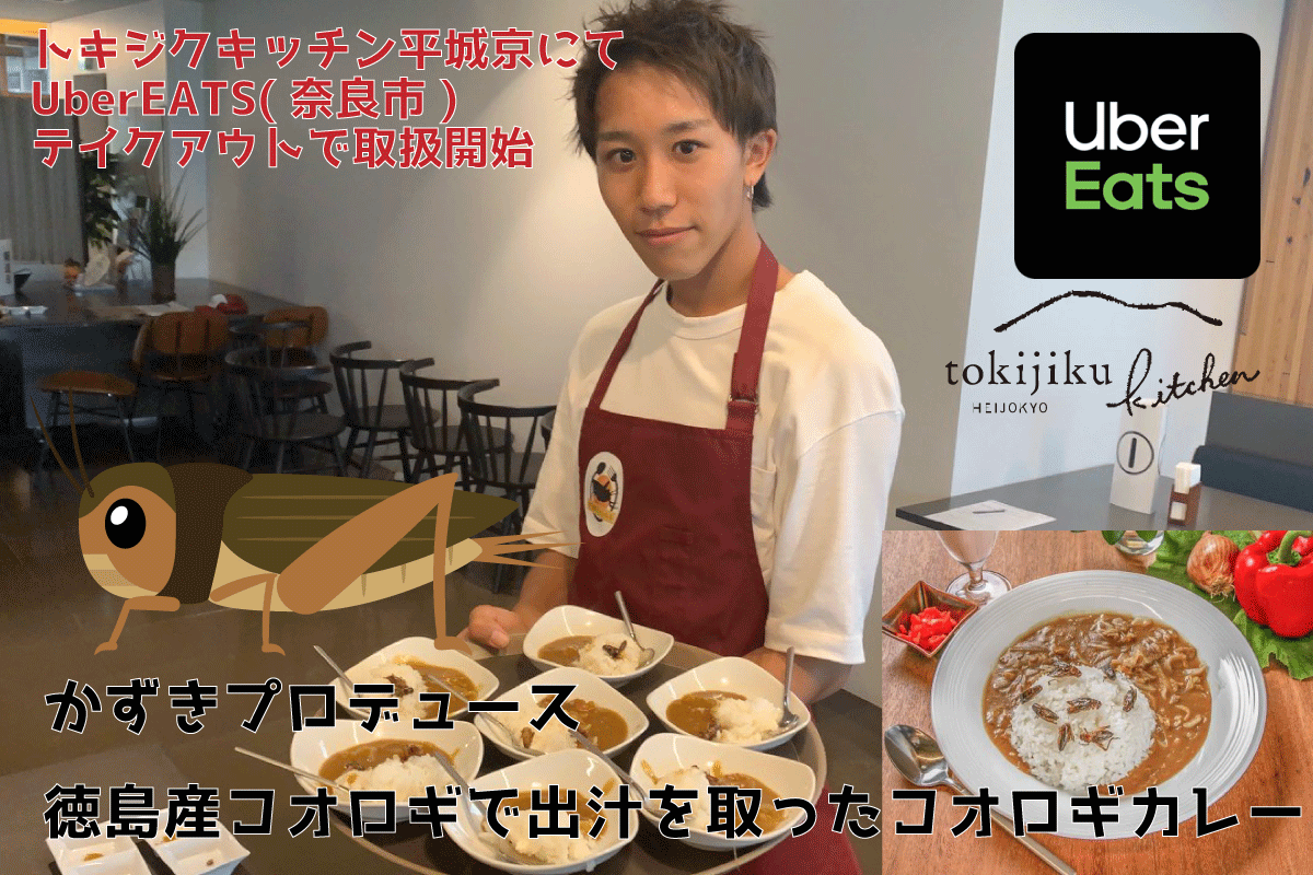 かずきプロデュース・コオロギカレー】テイクアウト・UberEATS（奈良市 