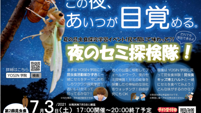 ７月３日 土 大阪市内で 夜のセミ探検隊 開催決定 昆tubeちゃんねる