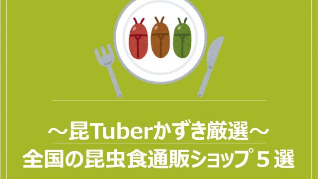 昆tubeちゃんねる 昆虫食を日常に